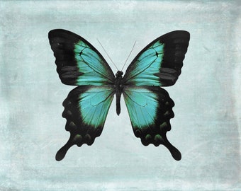 Butterfly Wall Art, 7x5", Butterfly art, Aqua art, Butterfly photo, blue green nursery decor, aqua girls room art