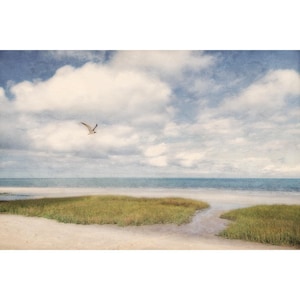 May include: A single seagull flies over a sandy beach with green grass and a blue ocean in the background. The sky is a light blue with white clouds.