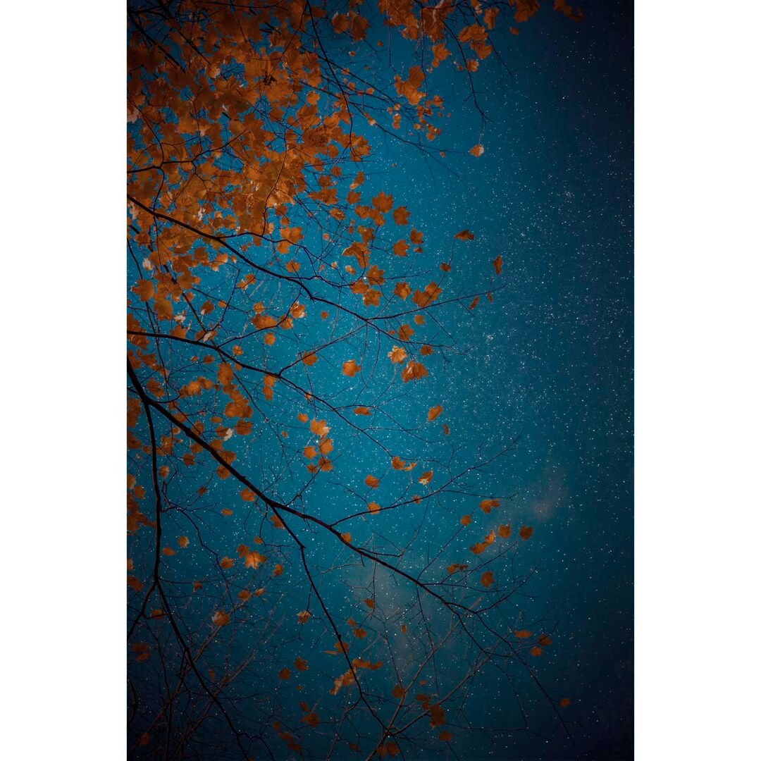 Navy Blue Wall Art Navy Wall Art Dark Blue Wall Art Navy Etsy