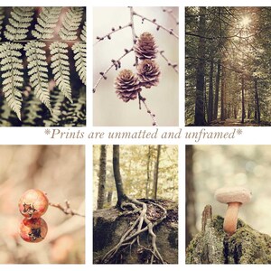 Set of 6 Prints, 5 x 7, Nature Photography, Gallery Wall Set, Set of Six prints, Nature Wall Art, Set of Six, Photos, Forest wall Art