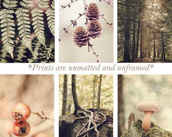 Set of 6 Prints, 5 x 7, Nature Photography, Gallery Wall Set, Set of Six prints, Nature Wall Art, Set of Six, Photos, Forest wall Art