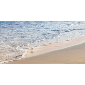 Cape Cod Art, Sandpiper wall art, West Dennis Beach, Cape Cod sunset, seascape