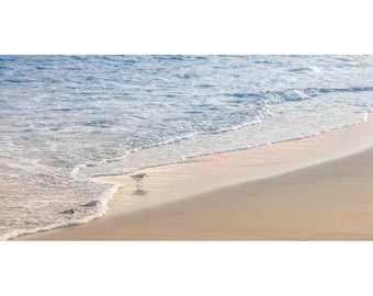 May include: Three small birds walk along a sandy beach with foamy waves lapping at the shore.