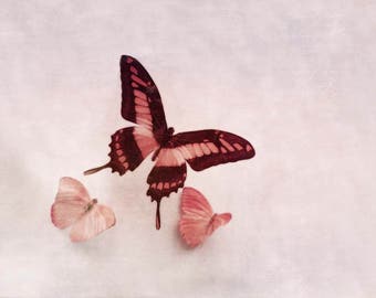 butterfly art, pink butterfly art, pink wall art, 7x5, small, pink Girls Room Art, pink Butterfly artwork, girls nursery art