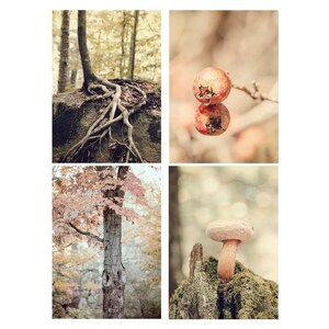 Nature Wall Set, 5 x 7, Set of 4 prints, vintage nature art, nature photography, woodland art, lodge decor