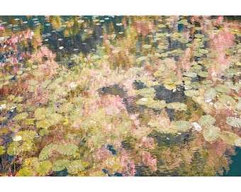 impressionist art, pastel wall art, lily pad art, impressionist prints