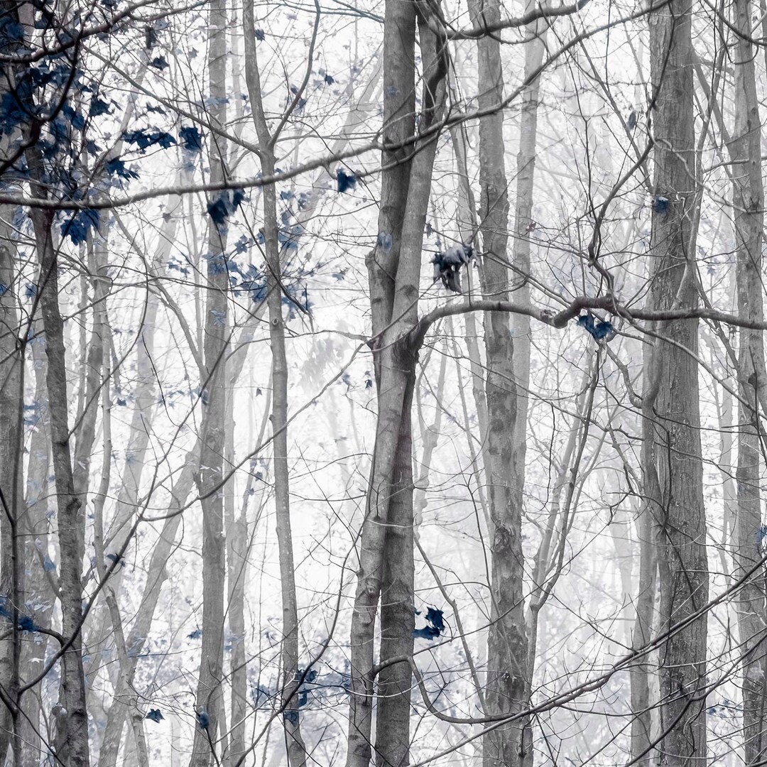 Gray And Navy Blue Wall Art