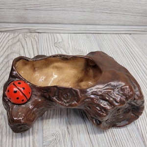 May include: A brown ceramic planter shaped like a tree trunk with a ladybug accent. The planter has a smooth, light brown interior and a textured exterior. The ladybug is red with black spots. The planter is designed for small plants or succulents.