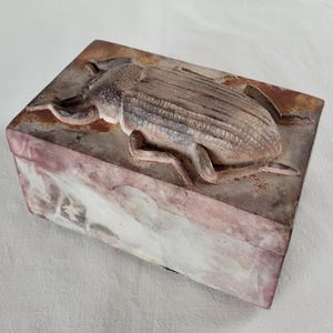 Może przedstawiać: Prostokątne pudełko z detalicznym, wypukłym reliefem chrząszcza na pokrywie. Pudełko ma wygląd zniszczony z odcieniami brązu, szarości i różu. Chrząszcz jest w kolorze jasnobrązowym.