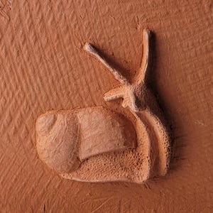 Pode incluir: Uma escultura em relevo de cor terracota de um caracol. O corpo e a concha do caracol são detalhados com superfícies texturizadas e formas arredondadas. As antenas do caracol estão levantadas e o fundo tem um aspecto texturizado e estriado.