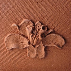 May include: Close-up of a terracotta-coloured, embossed flower design. The flower has detailed petals and a textured surface, set against a background with diagonal lines. The image highlights the intricate details of the floral relief.