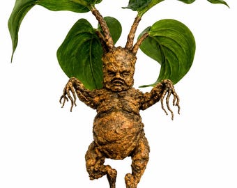 Mandrake Harry Potter Inspired