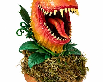 Carnivore plant