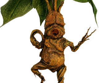 Mandrake Harry Potter Inspired