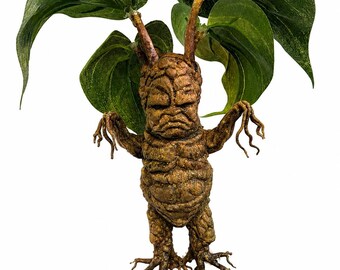 Mandrake Harry Potter Inspired