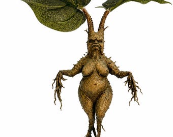 Mandrake (female) Harry Potter Inspired