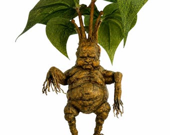 Mandrake Harry Potter Inspired