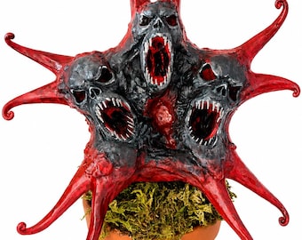 Stinkhorn skull mushroom