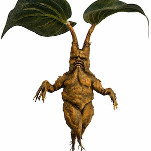 May include: A brown, textured, anthropomorphic root figure with a grumpy facial expression, defined muscular torso, and thin, spindly limbs. Two large, dark green, veined leaves extend upward from the top of the head like ears.