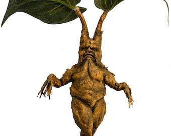 Mandrake Harry Potter Inspired