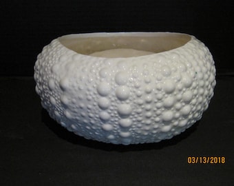 Sea Urchin Planter Shell