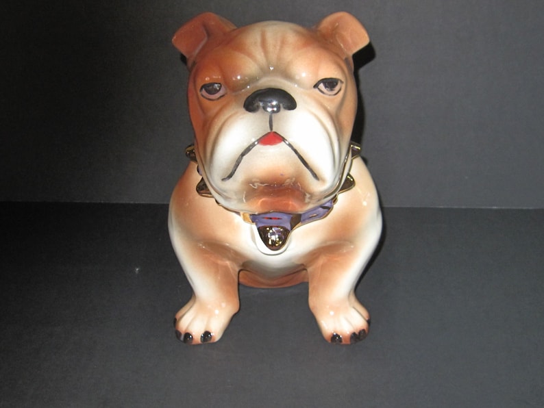 Bull Dog Cookie Jar 9 1/2 pulgadas de alto imagen 5