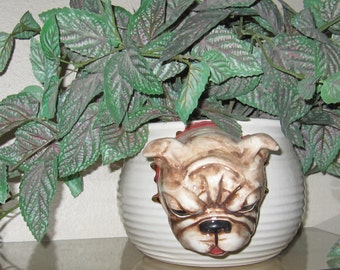 Vintage Bulldog Planter made out of Ceramic and Hand Painted.