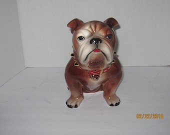 Bull Dog Piggy Bank 9 1/2 inches Tall