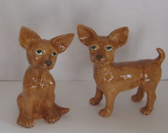 Pair of Chihuahua Dogs