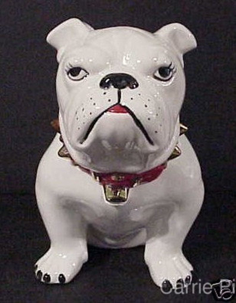 Bull Dog Cookie Jar 9 1/2 inches Tall immagine 2