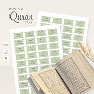 Pestañas del Corán verde salvia - Juego de 114 Surah y 30 Juz (descarga digital)