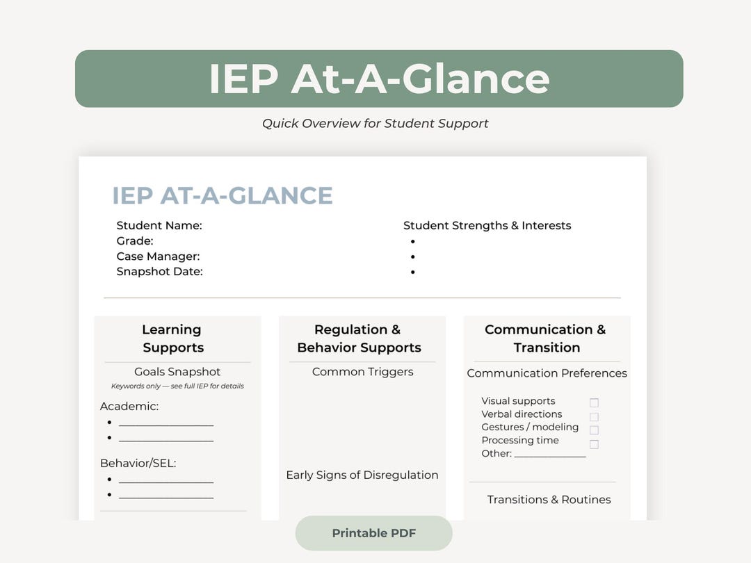 IEP At-a-glance Printable | Special Education Student Profile (PDF) - Etsy