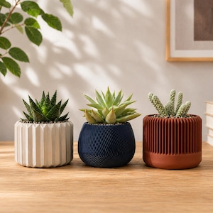 Puede incluir: Tres plantas pequeñas en macetas con diseños distintos. A la izquierda, una maceta cilíndrica blanca con estrías verticales y una suculenta verde oscuro. En el centro, una maceta redondeada azul oscuro texturizada con una suculenta verde claro. A la derecha, una maceta cilíndrica color terracota con estrías verticales y un cactus verde claro.