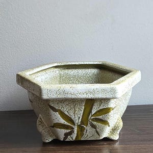 May include: A ceramic planter with a hexagonal shape and a textured, speckled finish. The planter is primarily off-white with green accents and a bamboo leaf design. It has a small, footed base and is suitable for small plants.