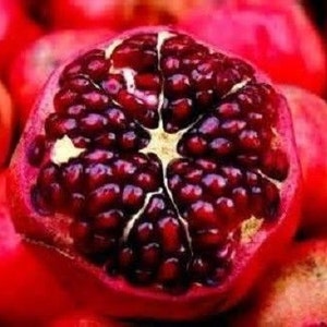 10 Dwarf Sweet Pomegranate Seeds-1056