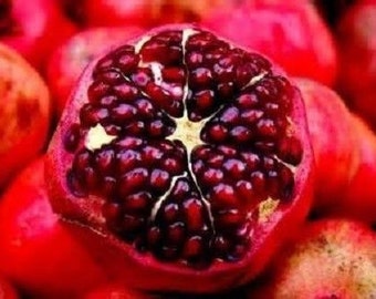 10 Dwarf Sweet Pomegranate Seeds-1056