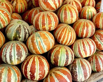 5 Kajari Melon Seeds-1350