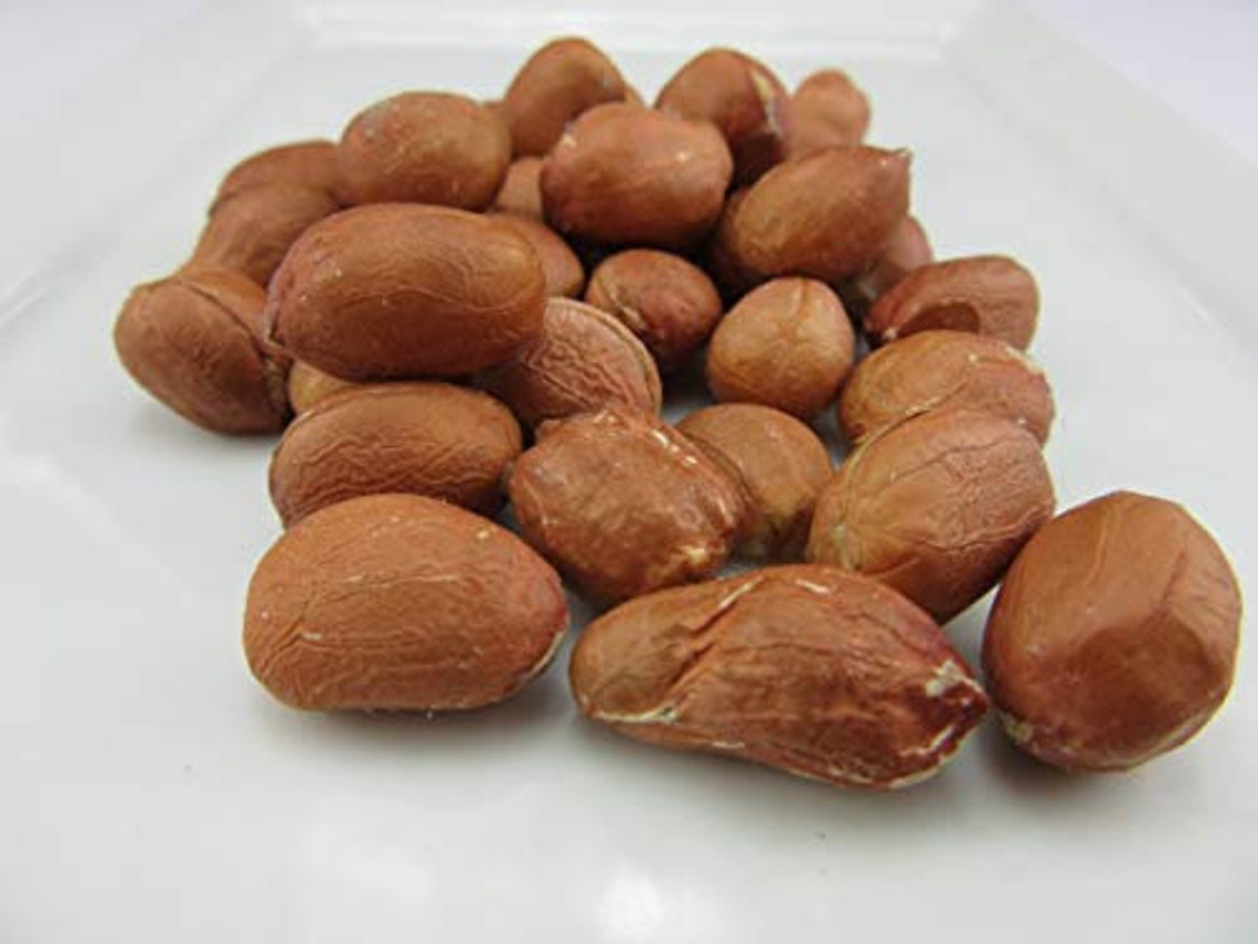 25 Jumbo Peanut Seeds1115A Etsy