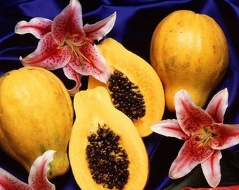 5 Dwarf Papaya fruit Seeds-1059