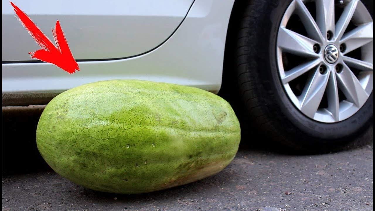 10 Winter White Watermelon Seeds-1163 - Etsy 日本