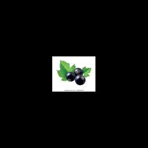 15 White Currant berry Seeds-1222 image 2