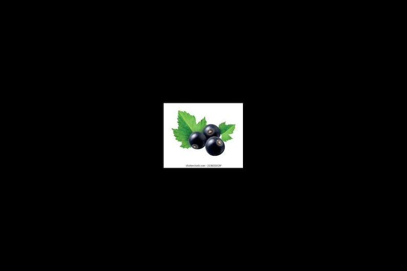 15 White Currant berry Seeds-1222 image 2