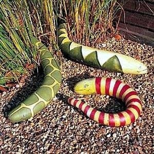 8 Snake Gourd Seeds-1171 image 2