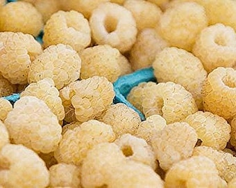 25 White Raspberry Seeds-1277