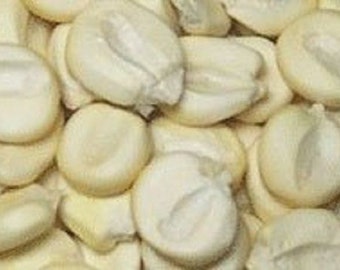 35 Peruvian Giant Corn Seeds-1051