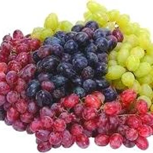 5 Red Concord Grape fruit Seeds-1294 image 3