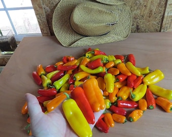 20 Mini Rainbow Pepper Mix seeds-1318