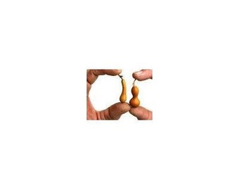 8 Worlds Smallest Gourd Seeds-1132
