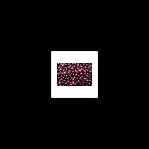 5 Red Scuppernong/Muscadine Grape fruit Seeds-1230 bild 1