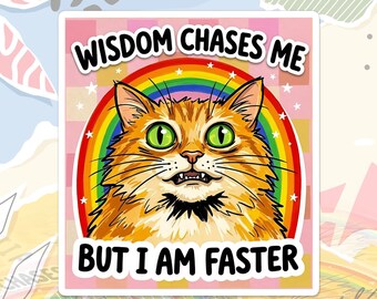 Wisdom Chases Me But I Am Faster Sticker Funny Chaotic Sarcastic Humor Decal For Water Bottle, Laptop